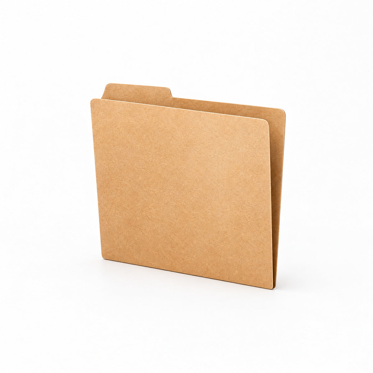Adoliz™ Kraft Paper File Folder
